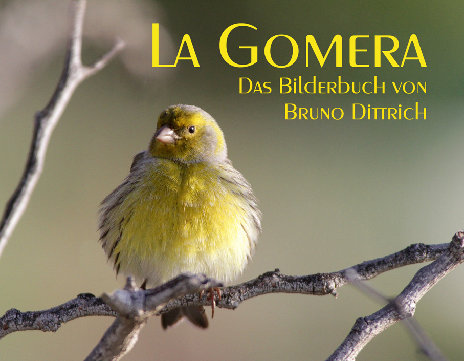 Buchtitel La Gomera, im Foto der Kanarengirlitz (Kanarienvogel)