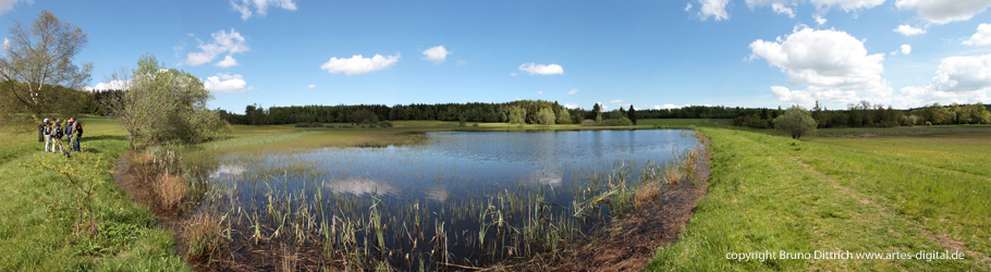 Naturschutzgebiet Weiherwiesen im Panorama (stitch aus vier Einzelfotos)