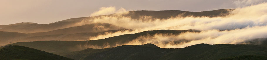 Passatwolken über dem Nationalpark Garajonay
