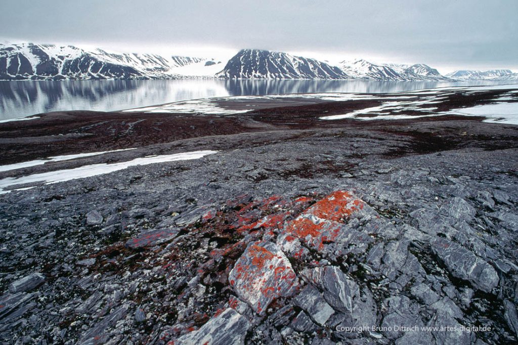 1991 Spitzbergen, Kongsfjord