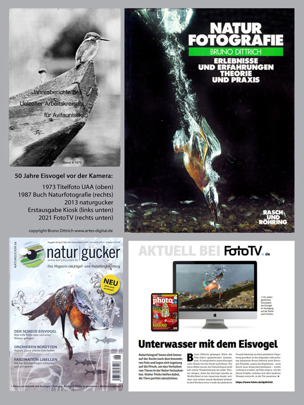 Publikationen Auswahl